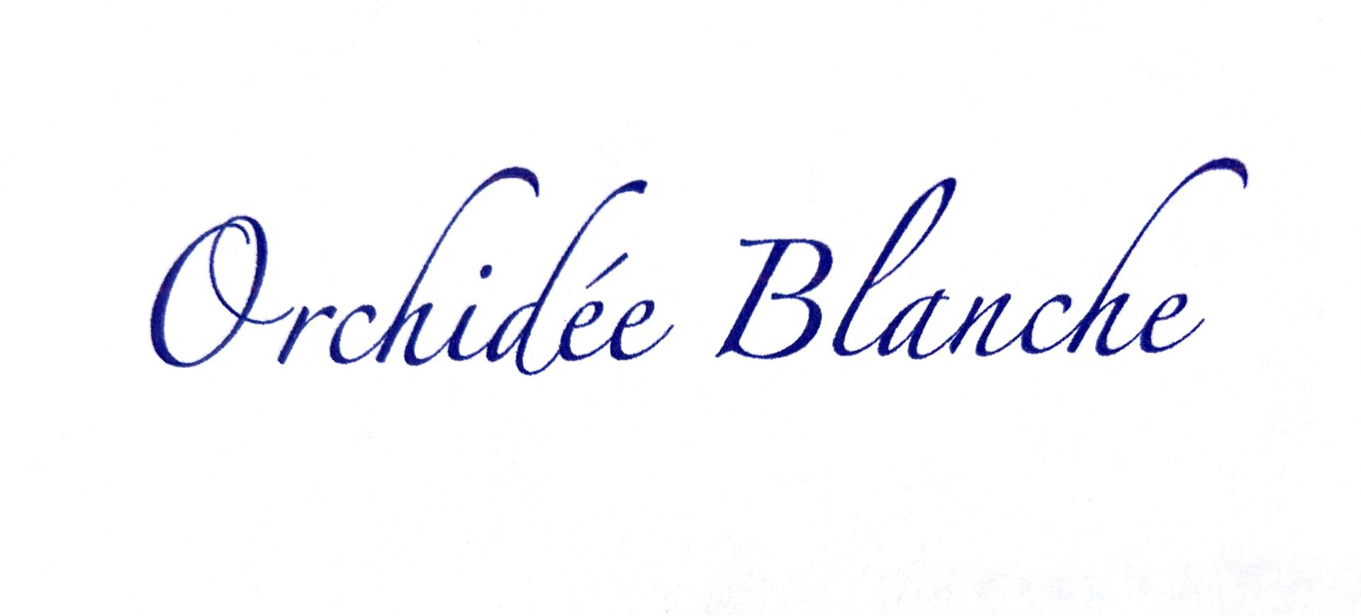 orchidéeblanche